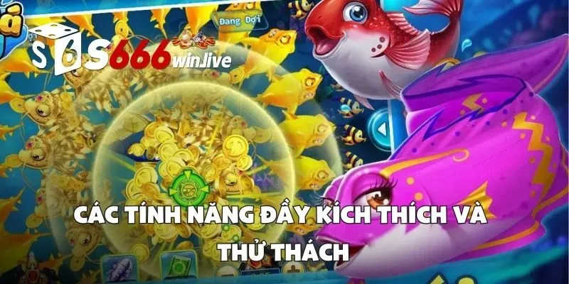 Các Tính Năng Đầy Kích Thích Và Thử Thách