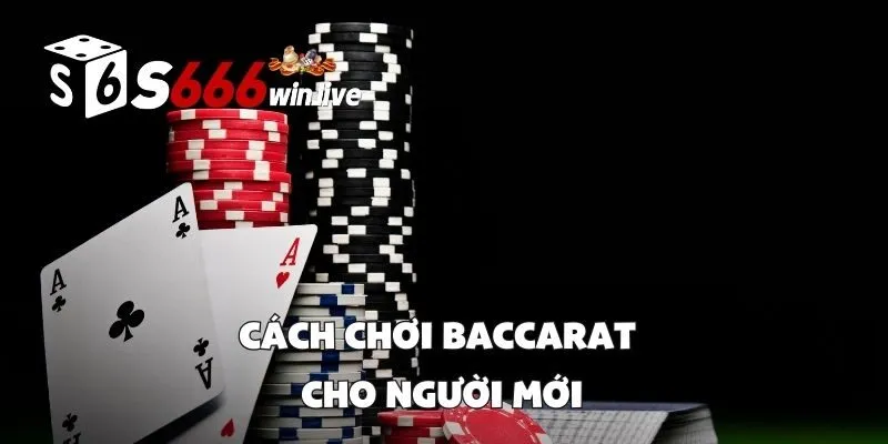 Các Loại Cược Trong Baccarat