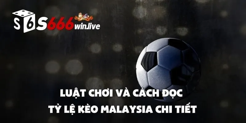 Luật Chơi và Cách Đọc Tỷ Lệ Kèo Malaysia Chi Tiết